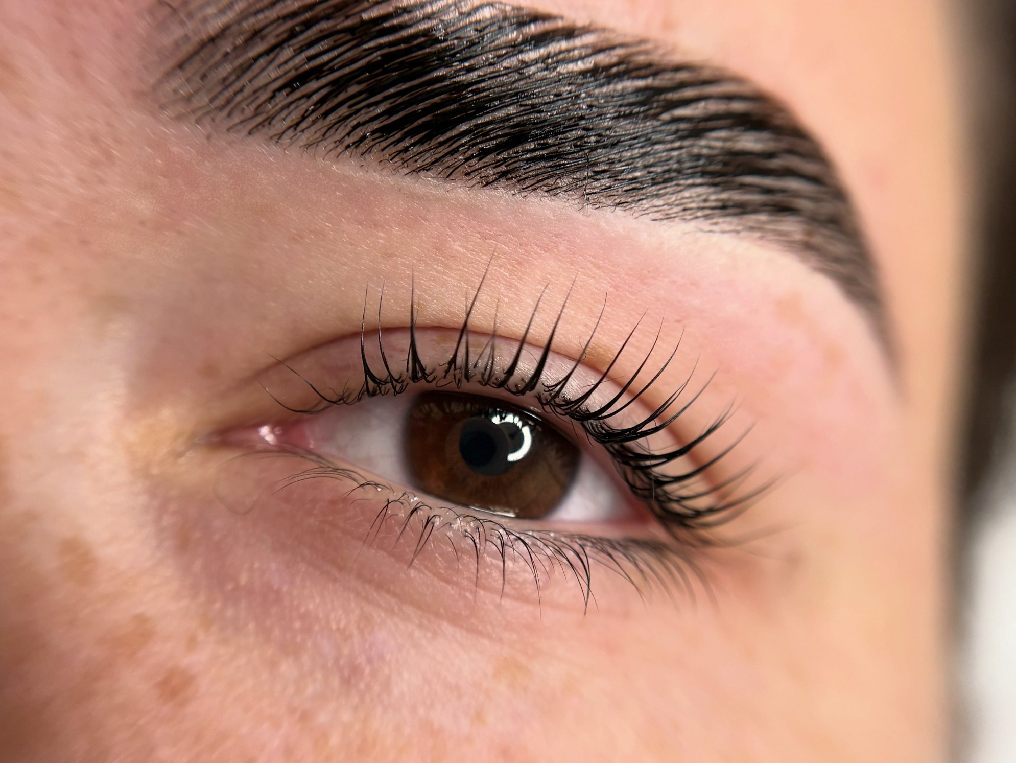 Gelamineerde wenkbrauw en wimpers bij een bruin oog